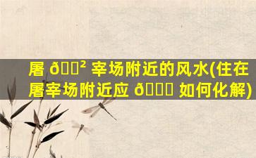 屠 🌲 宰场附近的风水(住在屠宰场附近应 🕊 如何化解)